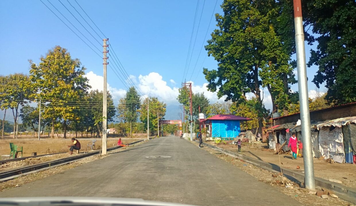 WhatsApp Image 2023-03-03 at 3.55.21 PM (2)