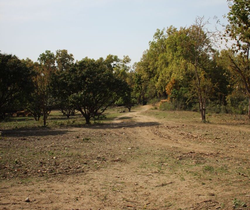 IMG-20230414-WA0058