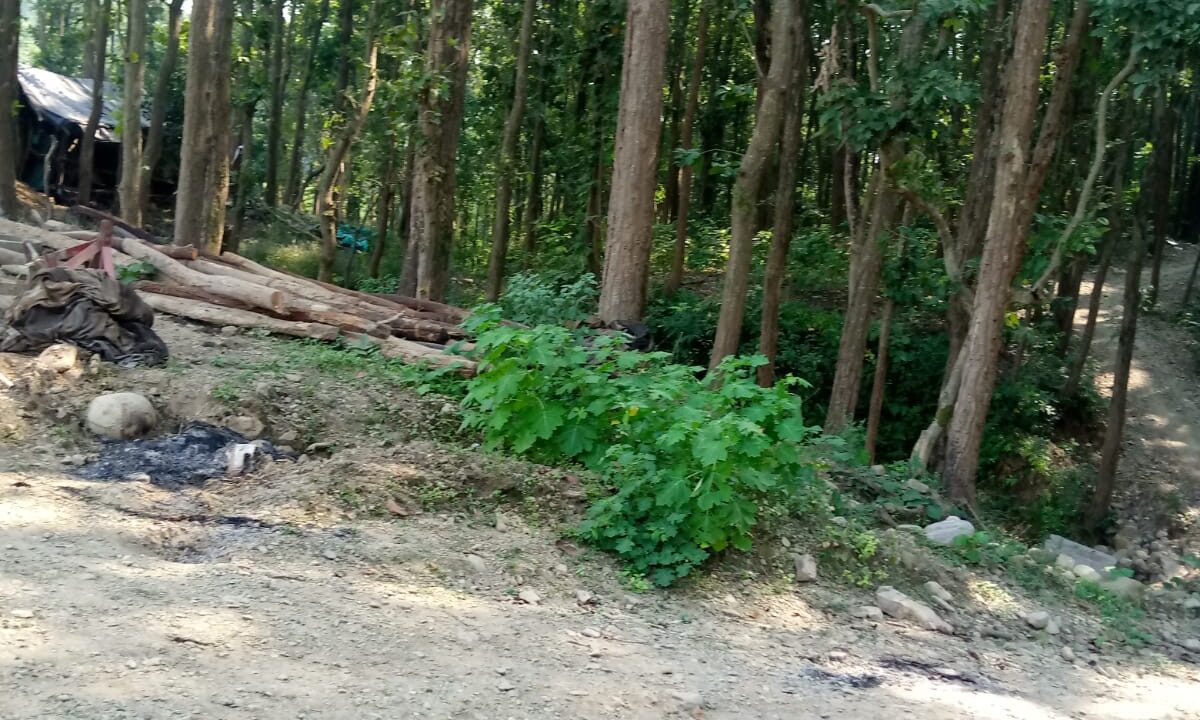 WhatsApp Image 2023-11-07 at 5.16.46 PM (1)