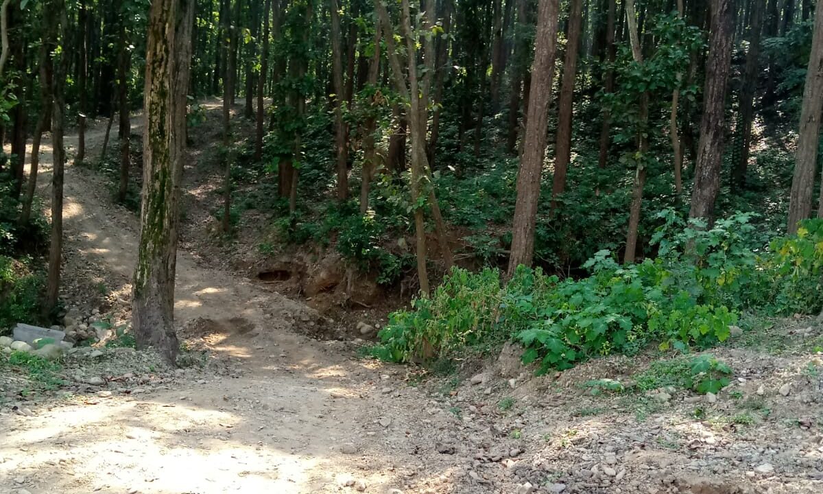 WhatsApp Image 2023-11-07 at 5.16.46 PM
