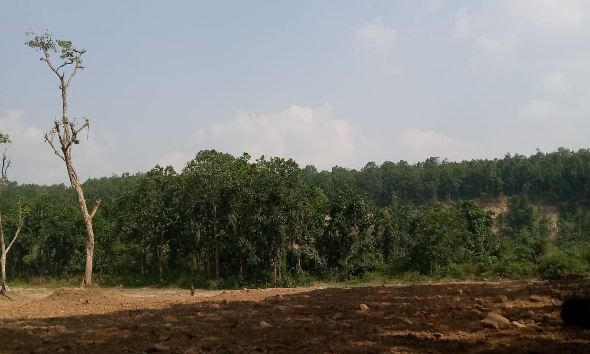 WhatsApp Image 2023-11-07 at 5.16.46 PM (2)