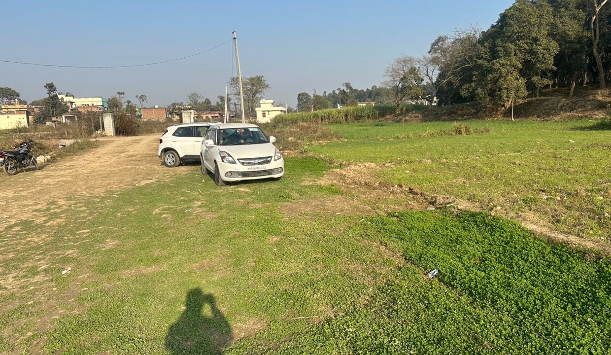 WhatsApp Image 2024-01-04 at 3.33.50 PM (1)